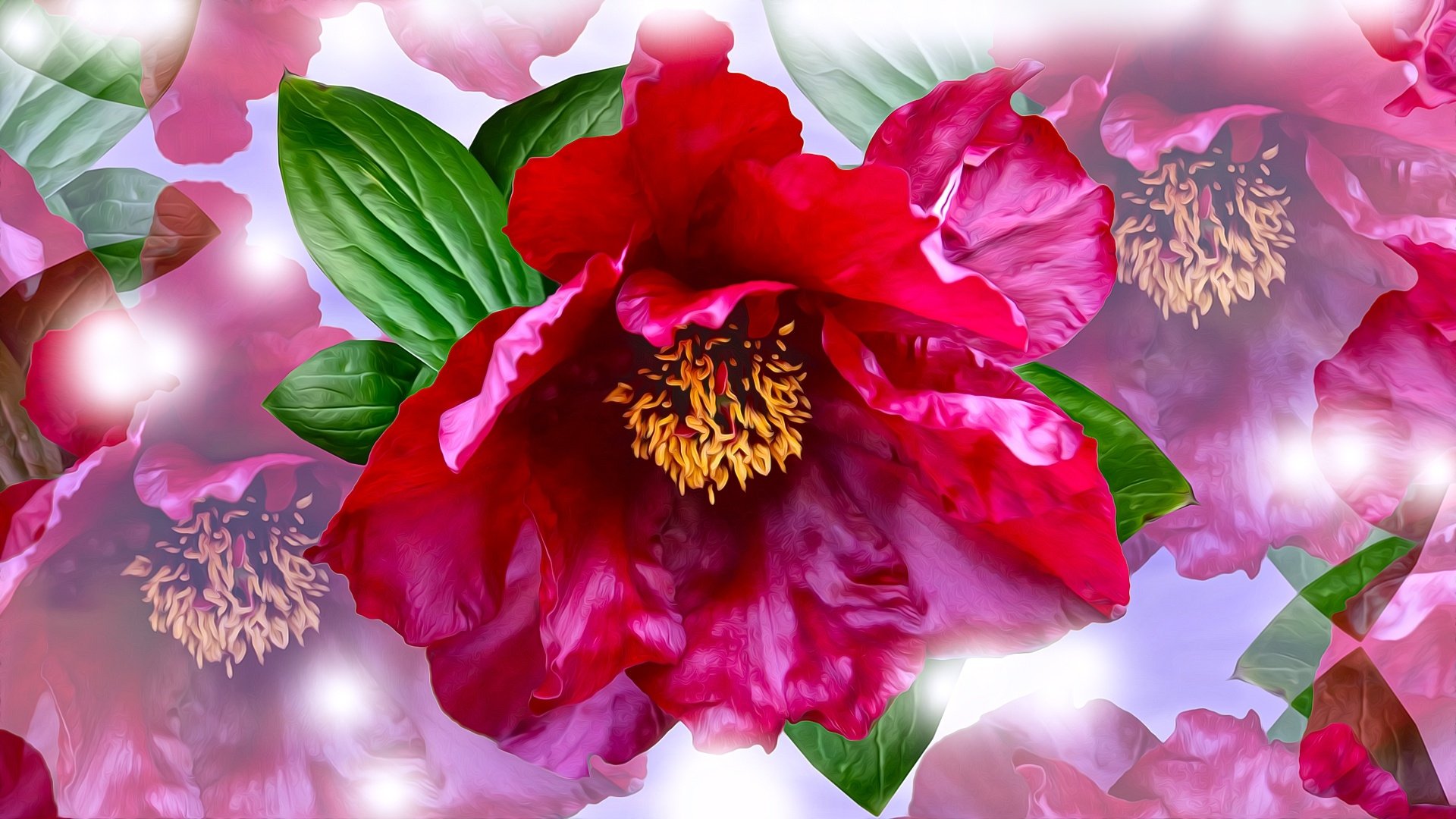 Download Peony Artistic Flower HD Wallpaper