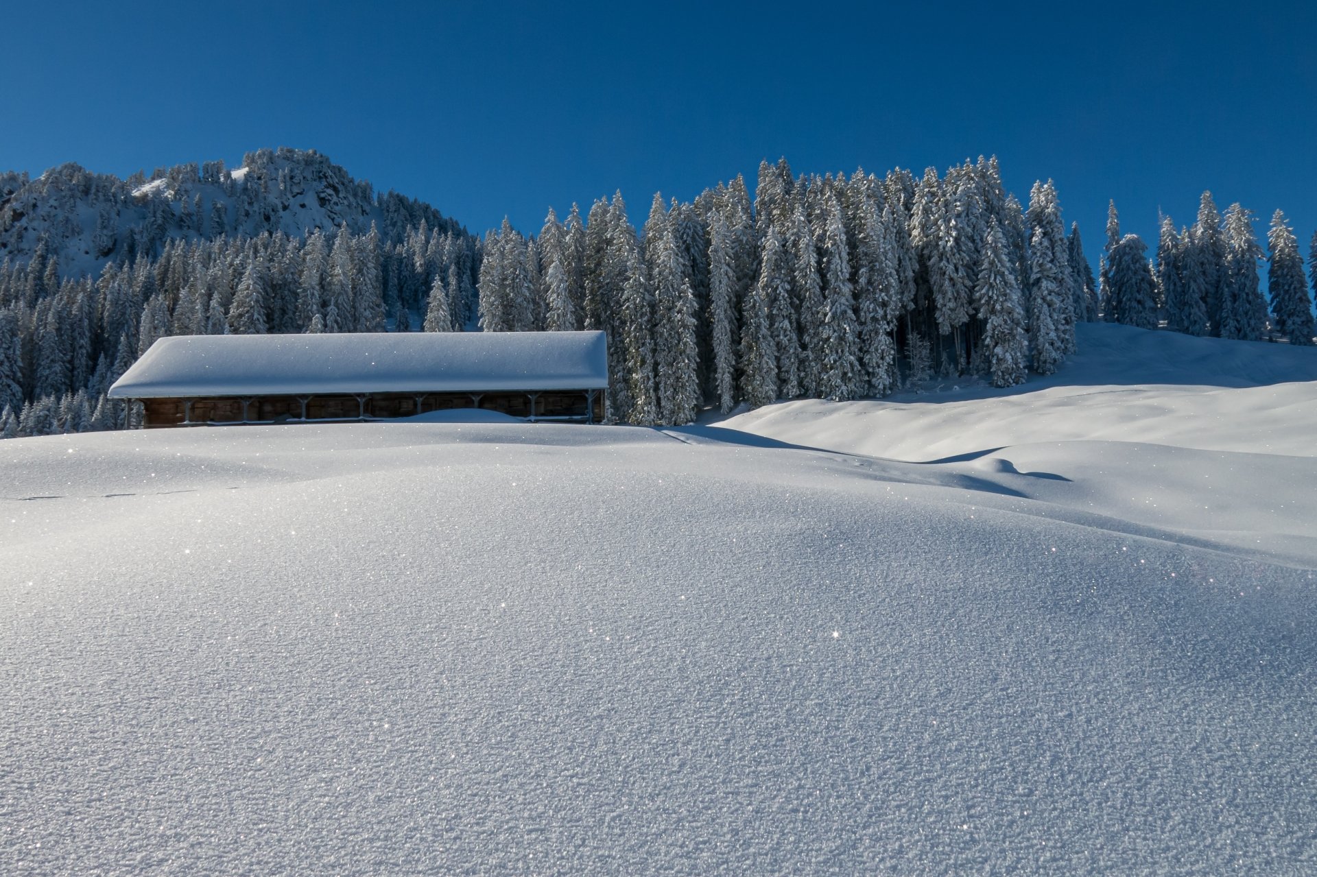 Download Spruce Sky Forest Roof Winter Man Made Barn 4k Ultra HD Wallpaper