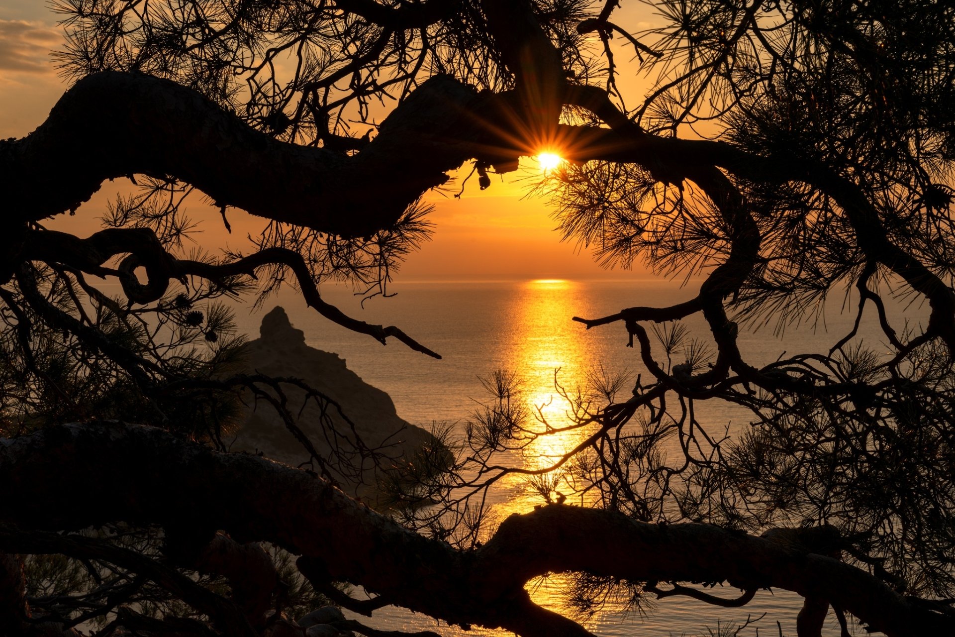 HD PC desktop wallpaper: Pine tree branches frame a Crimea evening sunset over the sea, golden sun reflecting on the water — serene nature background.
