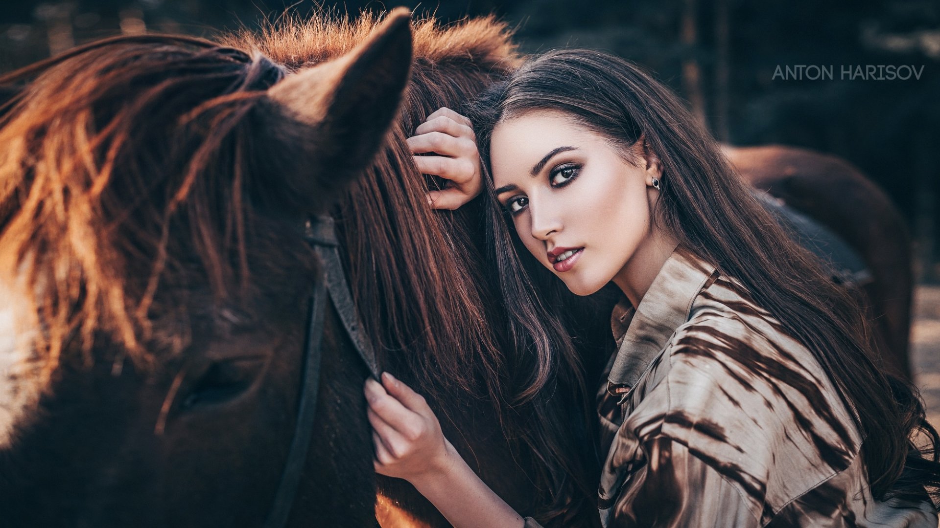 Download Horse Brown Eyes Long Hair Brunette Mood Woman Model HD ...