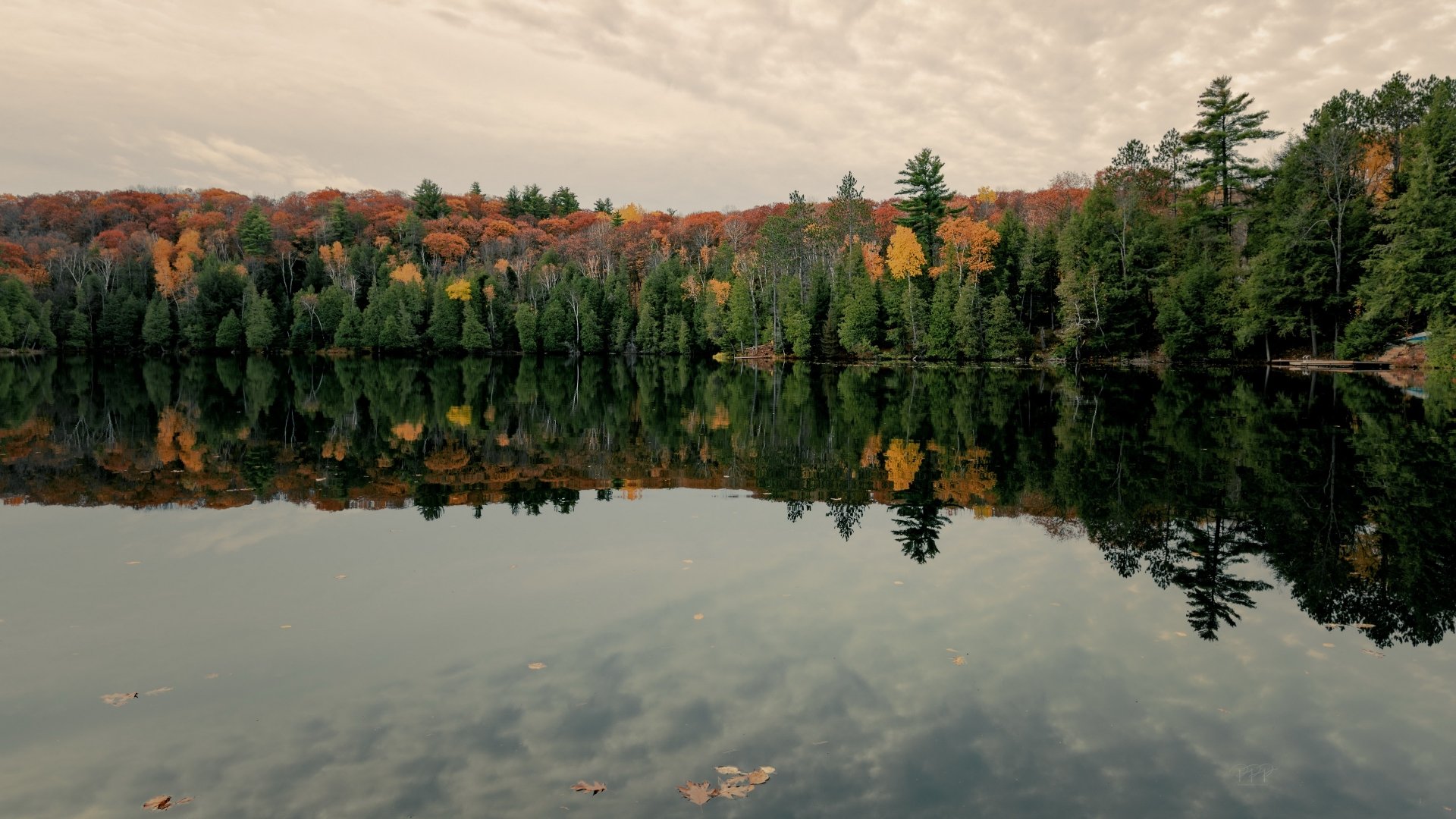 Download Reflection Forest Fall Nature Lake 4k Ultra HD Wallpaper ...
