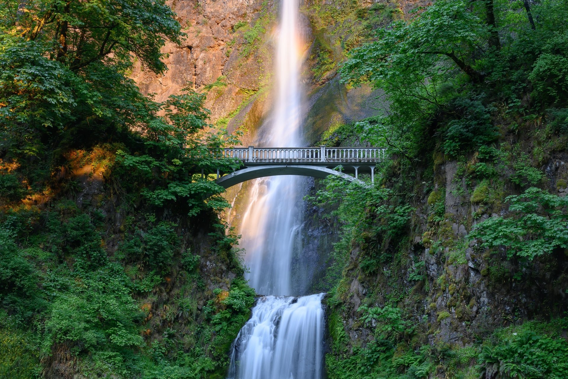 Download Multnomah Falls Bridge Greenery Nature Waterfall HD Wallpaper