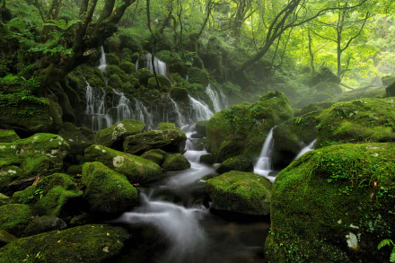 greenery nature stream HD Desktop Wallpaper | Background Image
