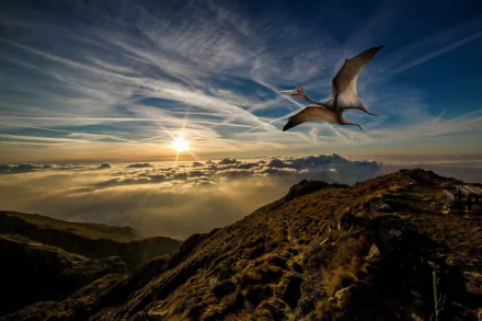 sunset flight sky pterodactyl Animal dinosaur HD Desktop Wallpaper | Background Image