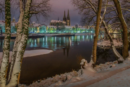 Winter night view of Regensburg, Bavaria, Germany, featuring snow-covered trees along the river and illuminated historic buildings reflected in the water.