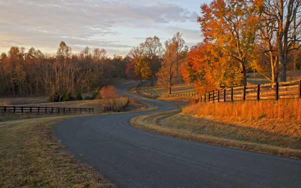 5K Ultra HD PC desktop wallpaper: winding paved road beside a wooden fence and vibrant fall trees across rolling countryside, man-made road and fence leading into the distance.