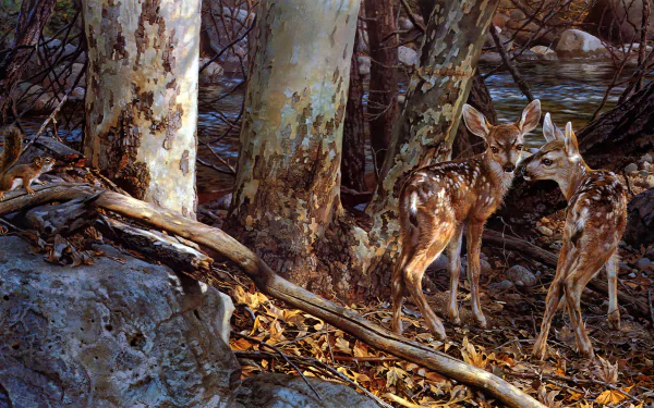  Squirrel Angry At Two Baby Deer by Carl Brenders