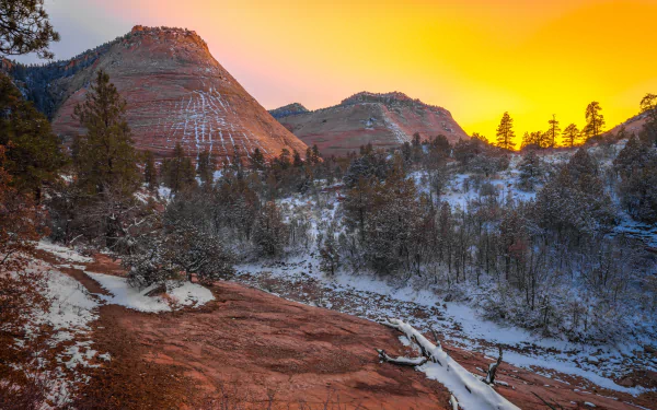 mountain snow nature Zion National Park Snowy Mountain HD Desktop Wallpaper | Background Image