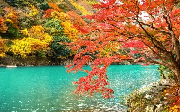 Nature Fall Japan Kyoto Park Lake Arashiyama HD Wallpaper | Background Image