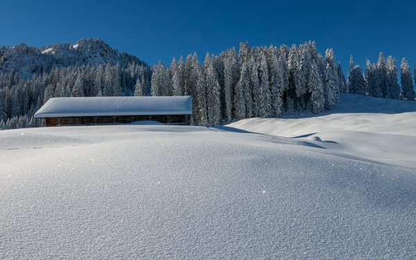 Man Made Barn Winter Roof Forest Sky Spruce HD Wallpaper | Background Image