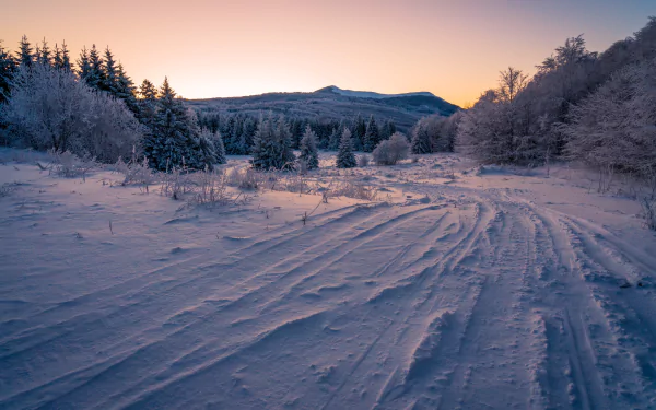 path fir tree mountain snow sky nature winter Snowy Mountain HD Desktop Wallpaper | Background Image