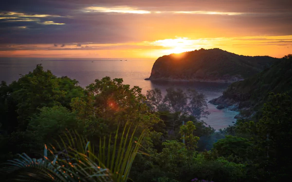 evening vegetation shore sunset sun sea nature coastline HD Desktop Wallpaper | Background Image