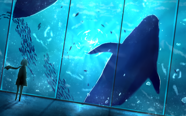 Anime Animal Whale HD Wallpaper | Background Image