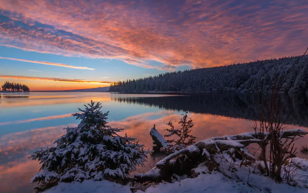 4K Ultra HD desktop wallpaper showing a snowy spruce forest reflecting in a calm lake at sunset, with vibrant clouds and a serene winter sky.
