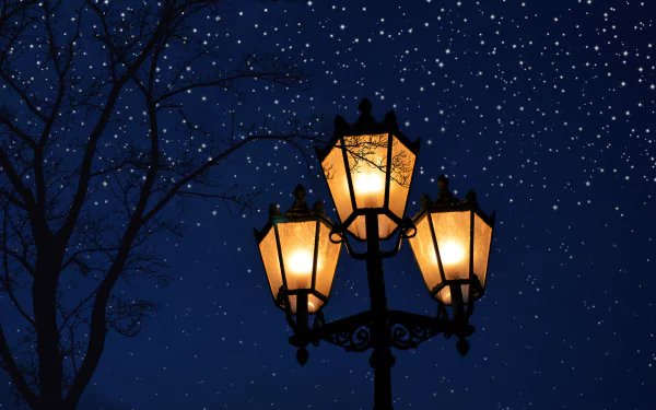 snowfall man made lamp post HD Desktop Wallpaper | Background Image