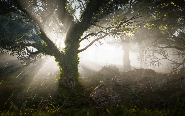  Assassin's Creed Valhalla / What A Weather We're Having