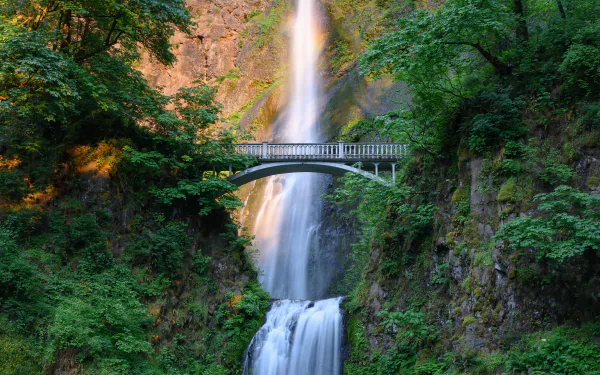 Multnomah Falls bridge greenery nature waterfall HD Desktop Wallpaper | Background Image