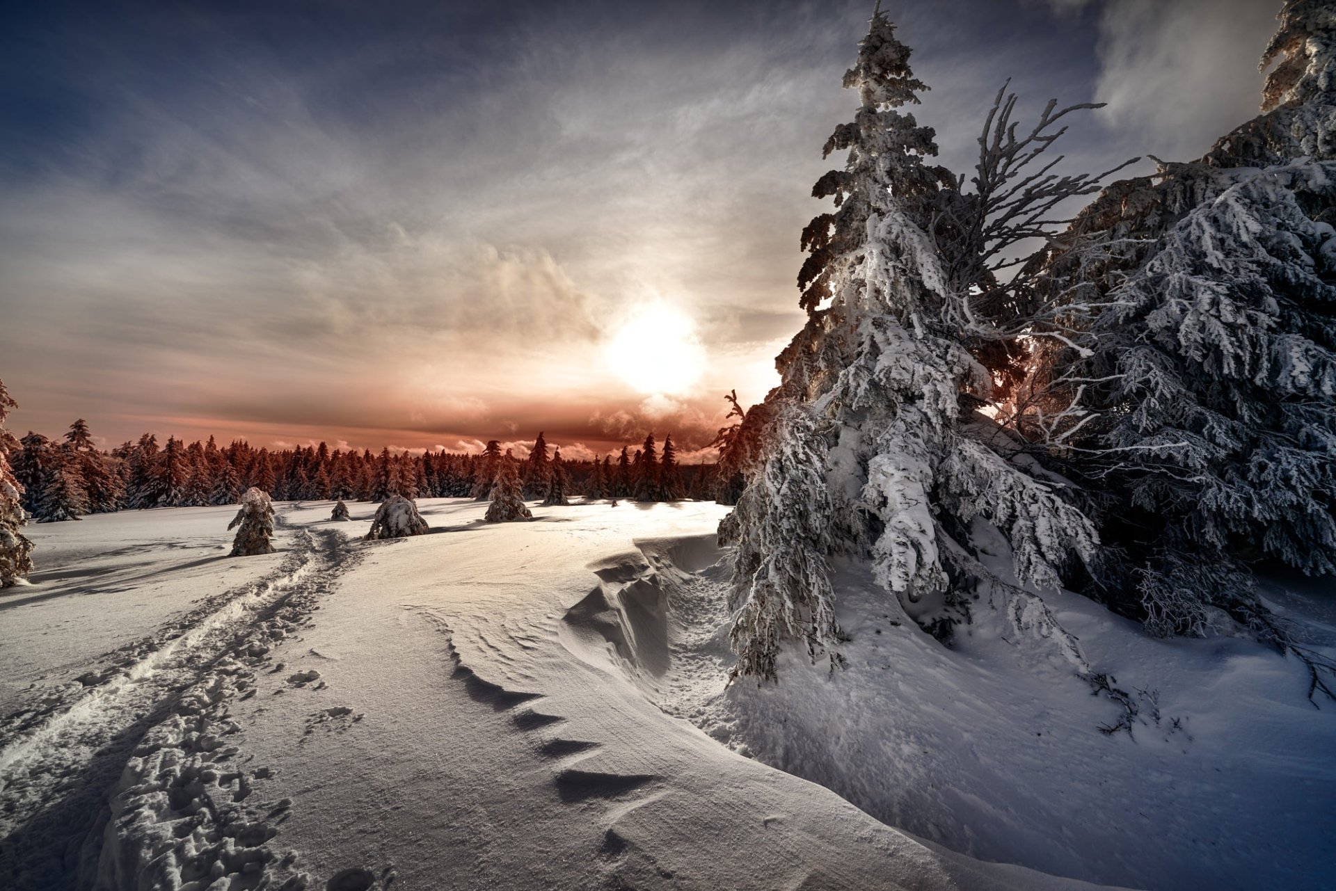 Download Nature Snow Winter HD Wallpaper, image size:1920x1281