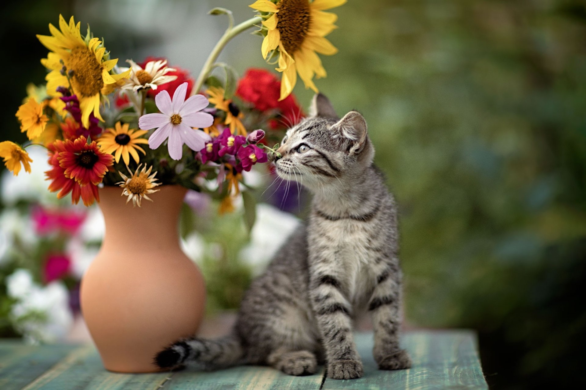 Cute Cat Sniffing A Vase Of Flowers By Yuriy Korotun