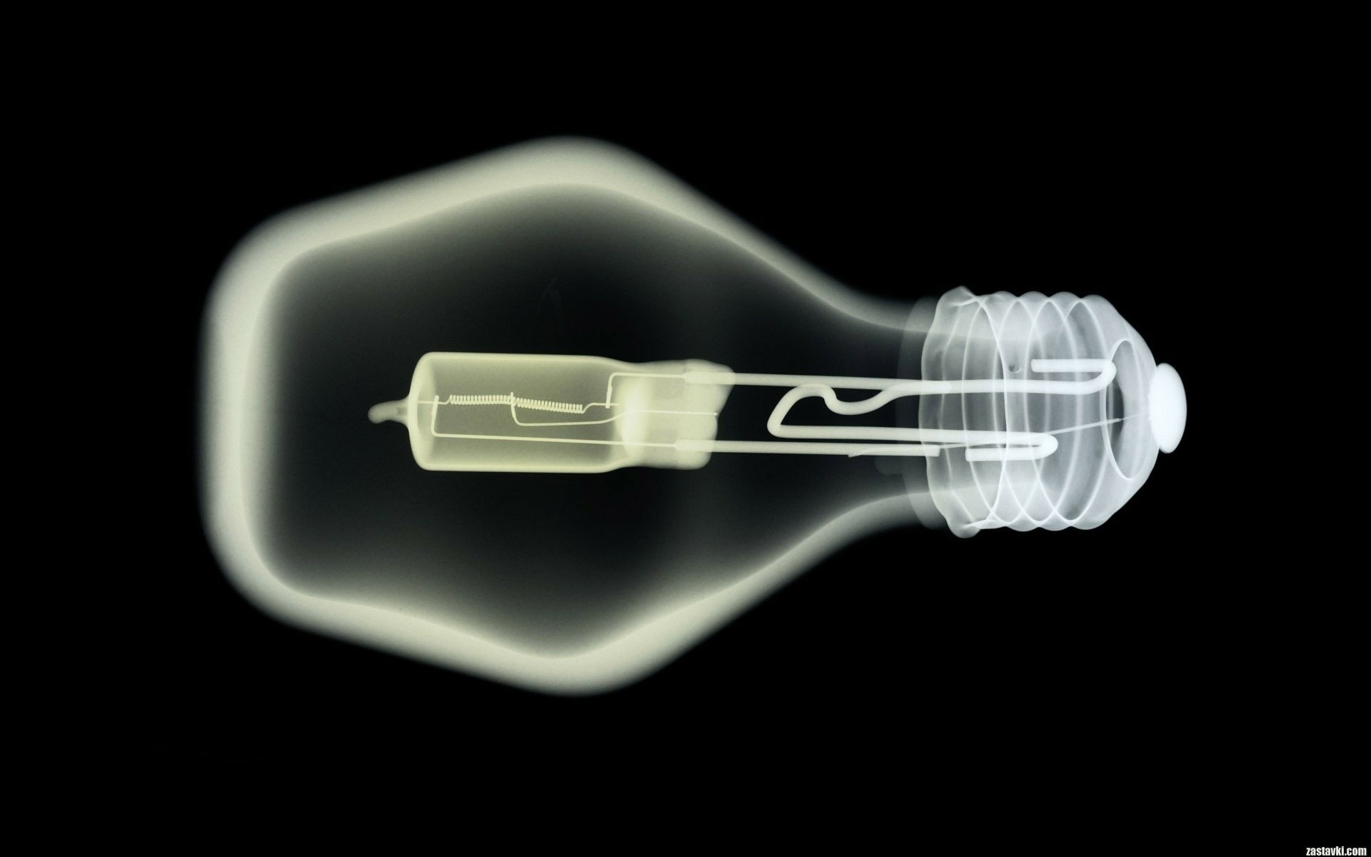 HD wallpaper featuring an X-ray vision image of a light bulb against a black background.