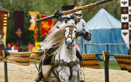  The Jousting Game