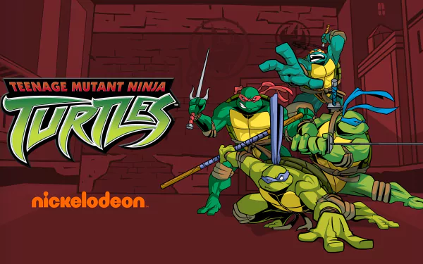 TV Show Teenage Mutant Ninja Turtles (2003) HD Desktop Wallpaper | Background Image