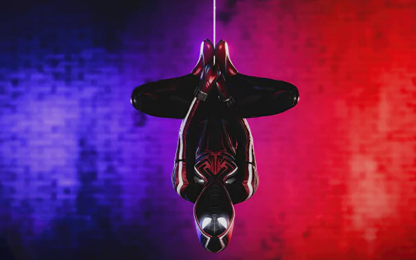 4K Ultra HD wallpaper of Miles Morales from Marvel's Spider-Man: Miles Morales video game, hanging upside down against a vibrant blue and red background.