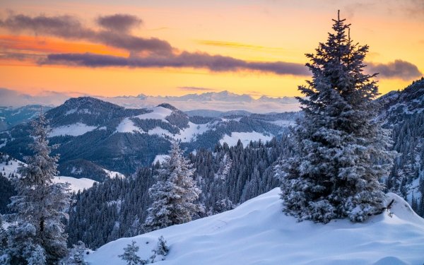 Earth Winter Forest Snow Sunset Mountain Germany Landscape HD Wallpaper | Background Image