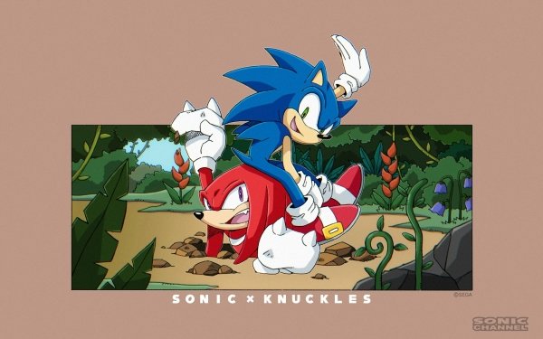 Video Game Sonic the Hedgehog Sonic Knuckles the Echidna Sonic Channel HD Wallpaper | Background Image