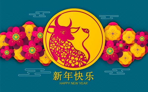 Chinese New Year HD Wallpaper | Background Image | 2560x1600 | ID