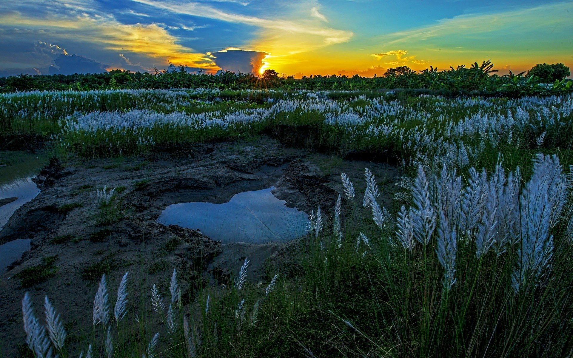 Download India Puddle Grass Sunset Nature Landscape HD Wallpaper by Dhritiman Mukherjee