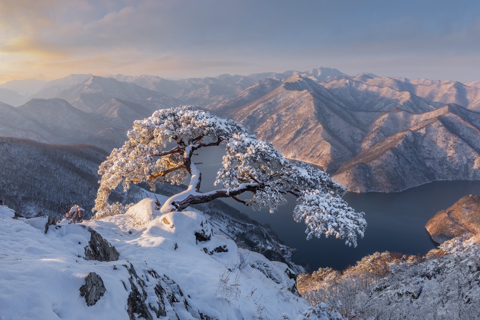 Snow-covered tree on a mountain overlooking a river and mountainous landscape in winter, South Korea, captured in HD for a desktop wallpaper.