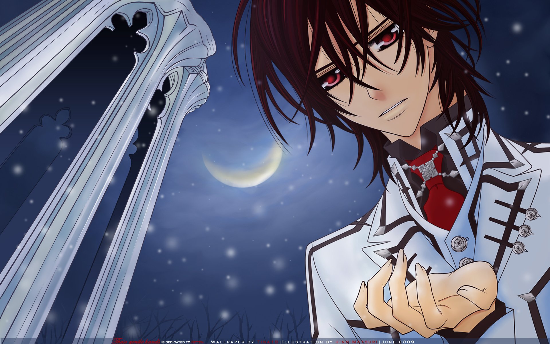 Download Kaname Kuran Anime Vampire Knight  HD Wallpaper