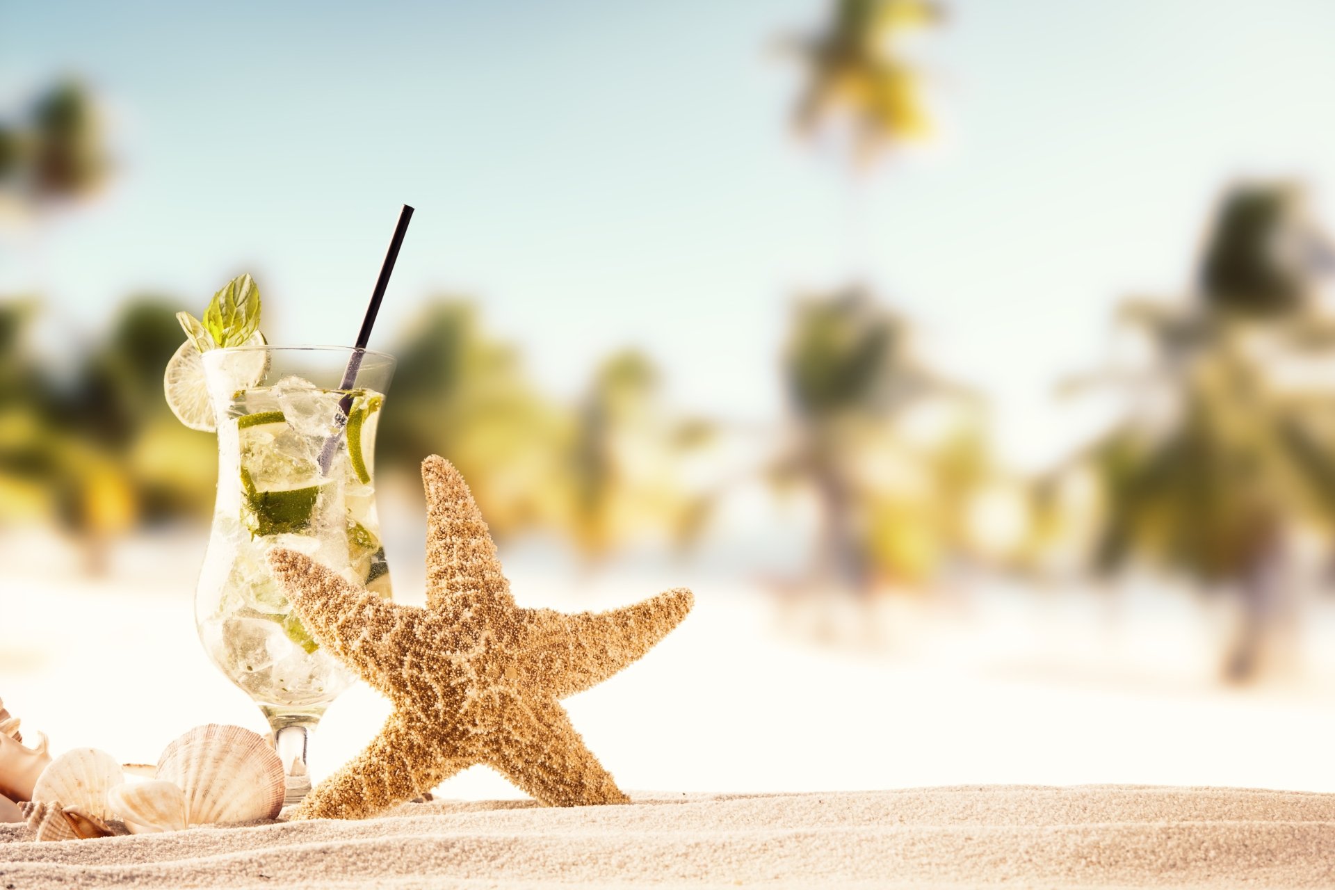 Download Drink Starfish Mojito Summer Sand Food Cocktail 4k Ultra HD Wallpaper by Ekaterina Kikot