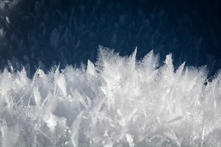 Close-up macro view of intricate frost and ice crystals resembling snowflakes, captured in high definition for a nature-themed PC desktop wallpaper background.