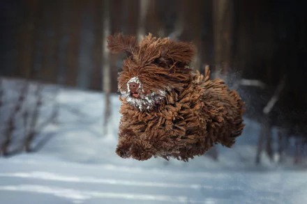  Mop Running Through the Snow by Natalia Ponikarova