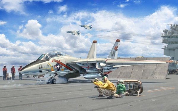 Military Grumman F-14 Tomcat Jet Fighters Aircraft Warplane Jet Fighter HD Wallpaper | Background Image
