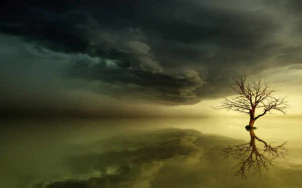 mood horizon reflection water cloud lonely tree dead tree artistic tree HD Desktop Wallpaper | Background Image