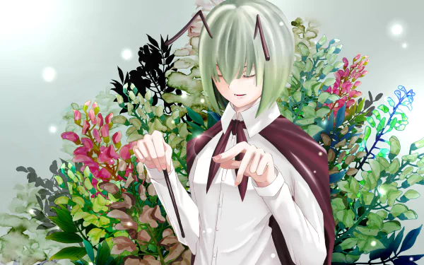 Wriggle Nightbug Anime Touhou HD Desktop Wallpaper | Background Image