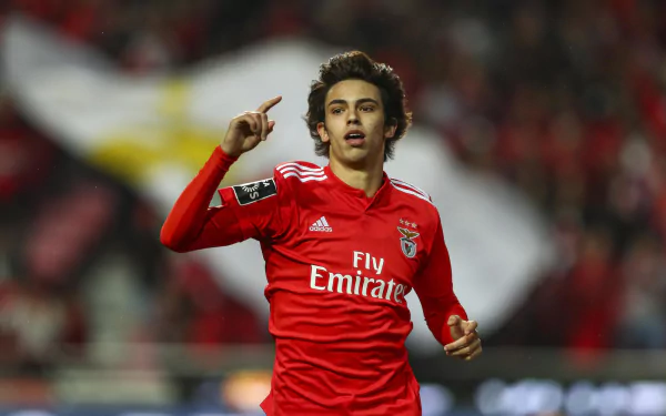 soccer Portuguese Joao Felix Sports HD Desktop Wallpaper | Background Image