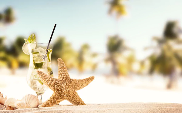 drink starfish mojito summer sand food cocktail HD Desktop Wallpaper | Background Image