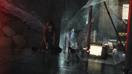 Anime girl and cat under an umbrella in a rainy night cityscape, captured in high-definition with moody lighting for a striking PC desktop wallpaper.
