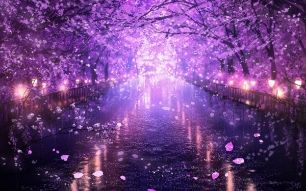 Anime Sakura Water Blossom Canal HD Wallpaper | Background Image