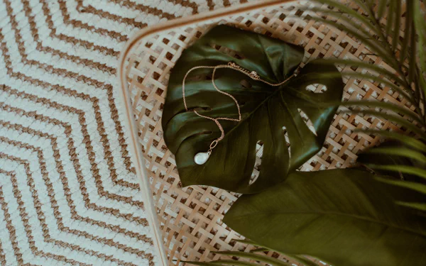  Necklace On A Monster Leaf