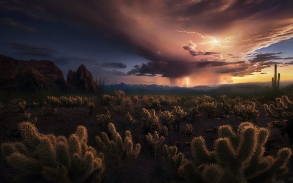 Earth Cactus Cloud Storm Desert Nature HD Wallpaper | Background Image