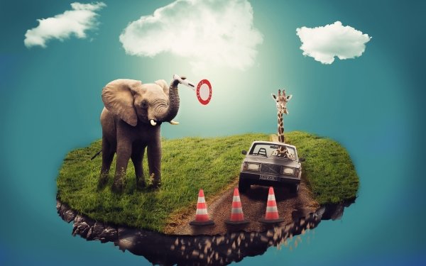 Fantasy Dream Elephant Giraffe HD Wallpaper | Background Image