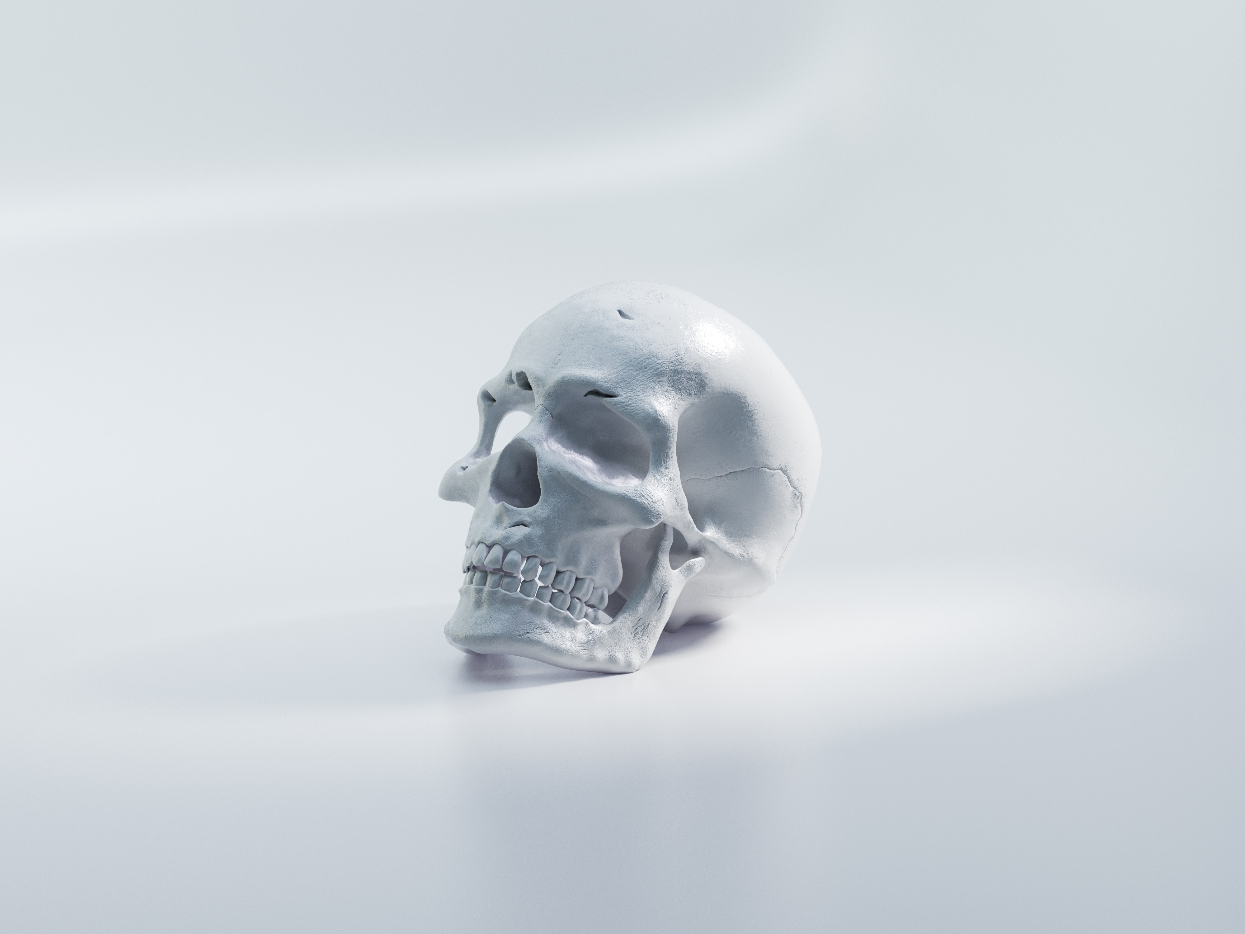 Skull 4k Ultra HD Wallpaper by Milad Fakurian