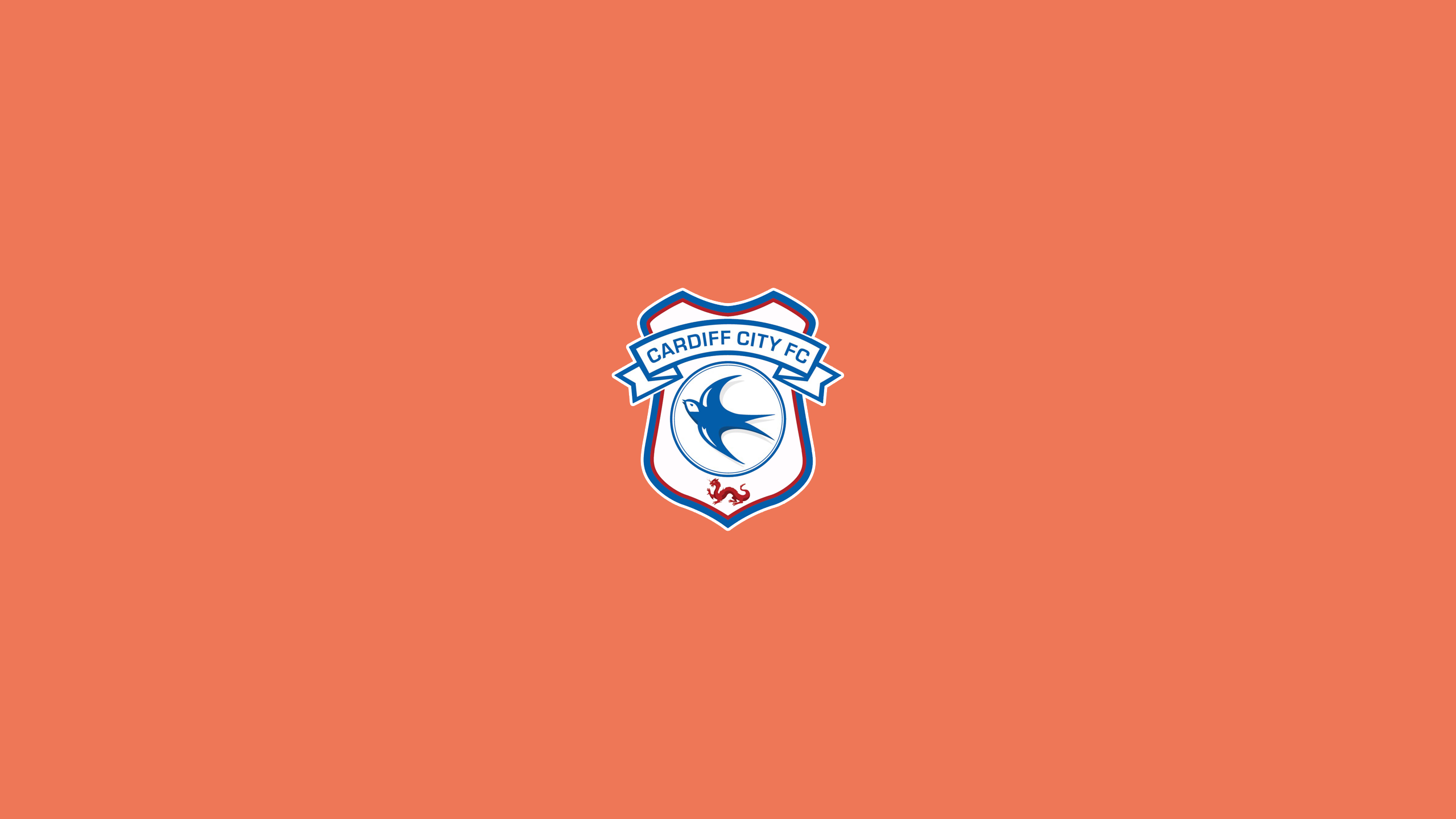CARDIFF CITY FC  Cardiff city fc, Cardiff city, ? logo