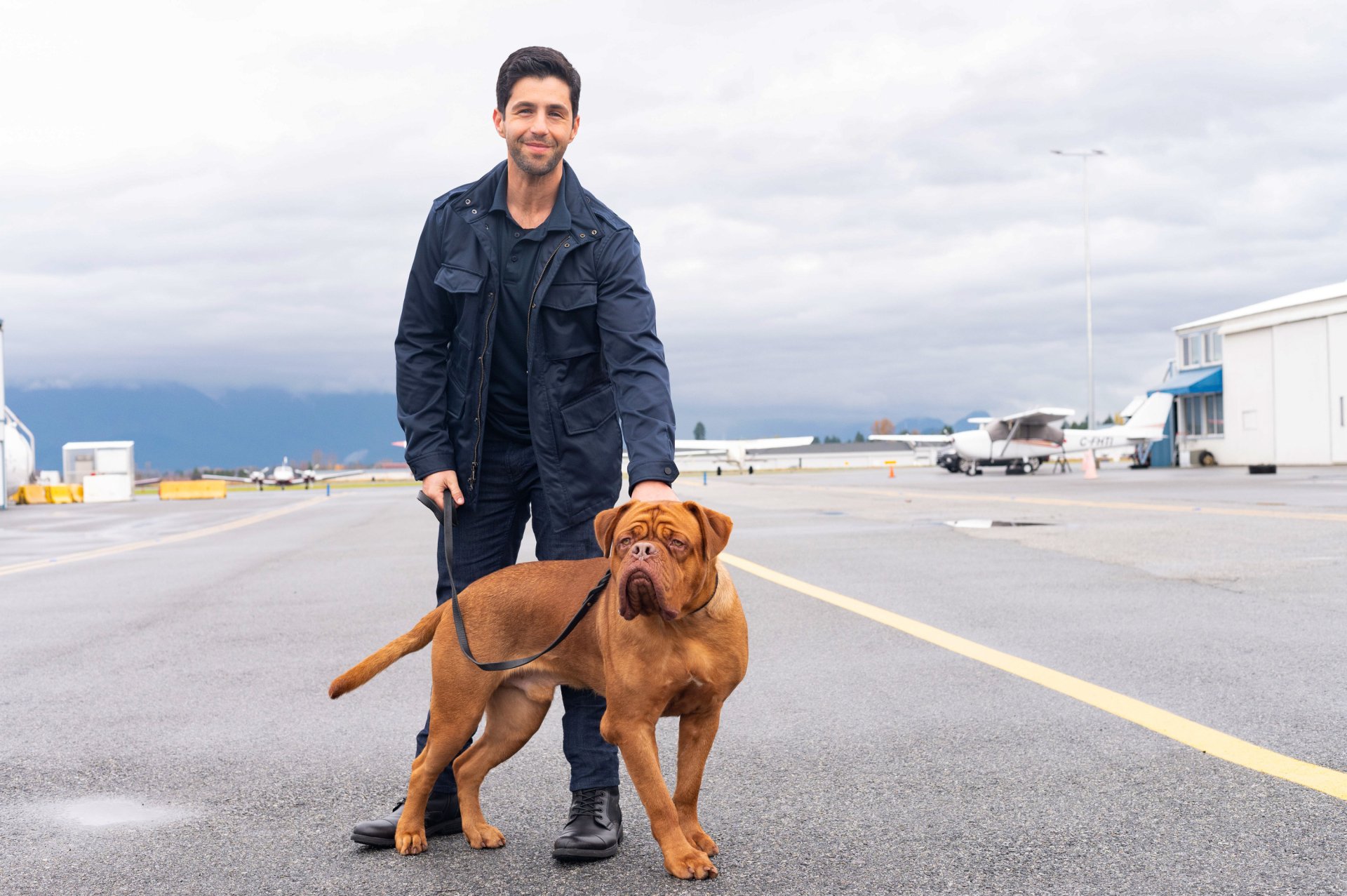 Download Josh Peck Dogue De Bordeaux TV Show Turner & Hooch HD Wallpaper