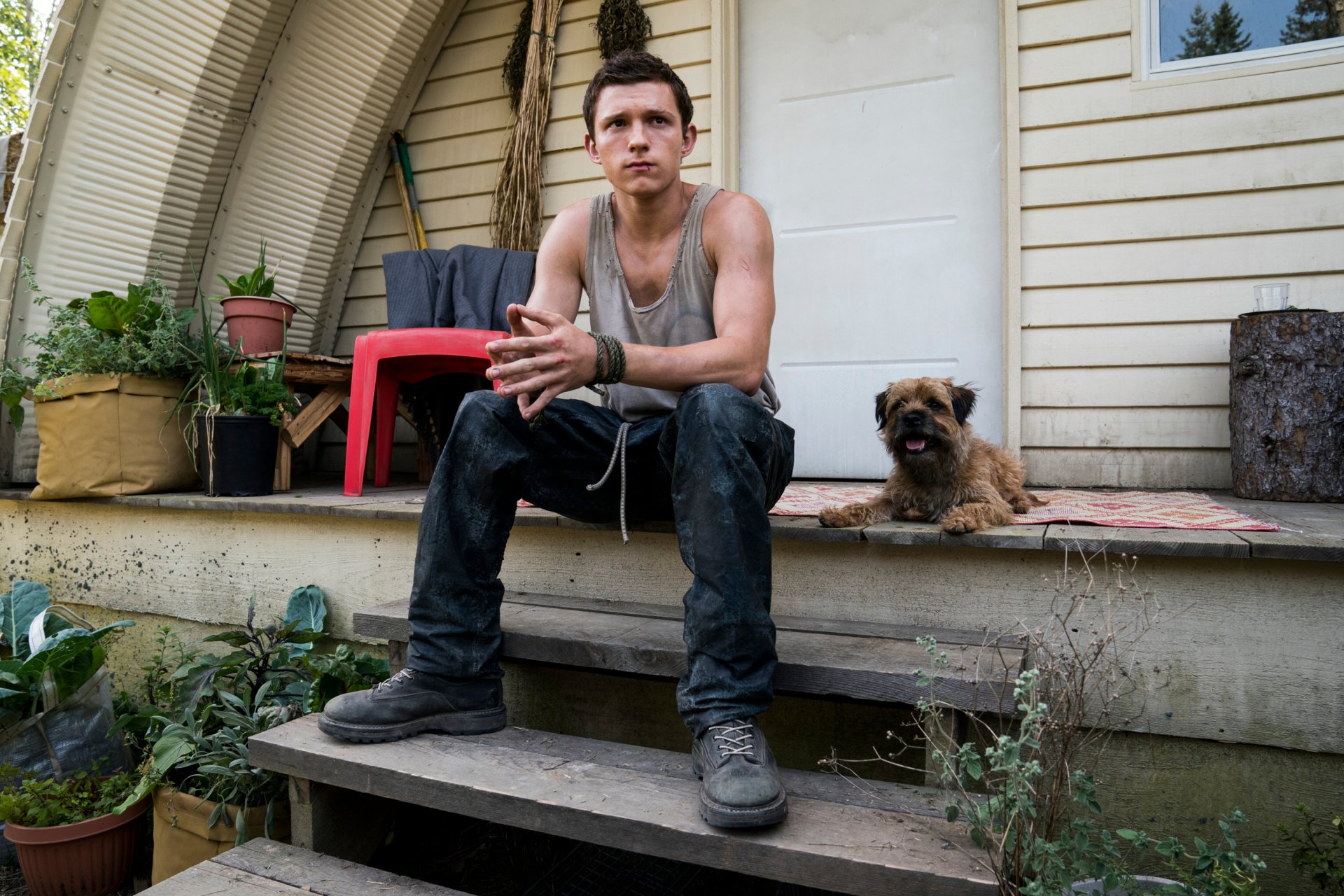 Download Todd Hewitt Tom Holland Movie Chaos Walking HD Wallpaper